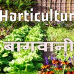 bagvani horticulture