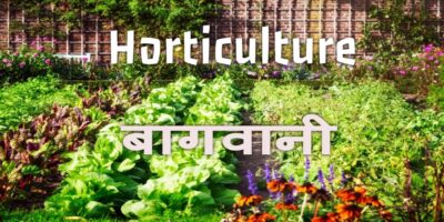 bagvani-horticulture
