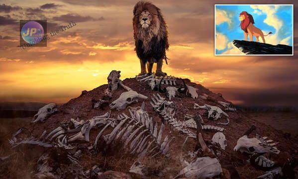lion king in africa Image- Photographer Simon Needham
