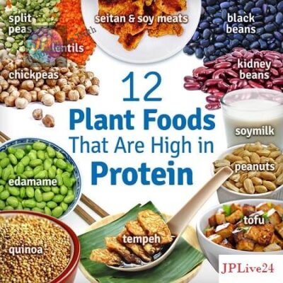 vegan-protein-sources-graphic-vegan-outreach