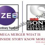 ZEEL Sony Pictures Networks 696x497 1