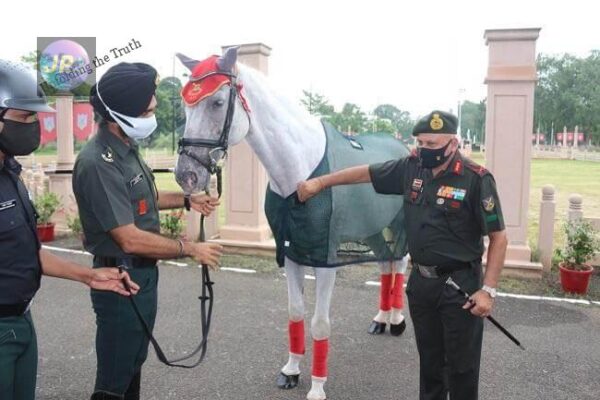भारतीय सेना के घोड़े प्रिंस