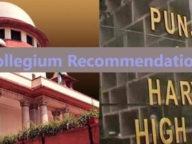 collegium recommendations