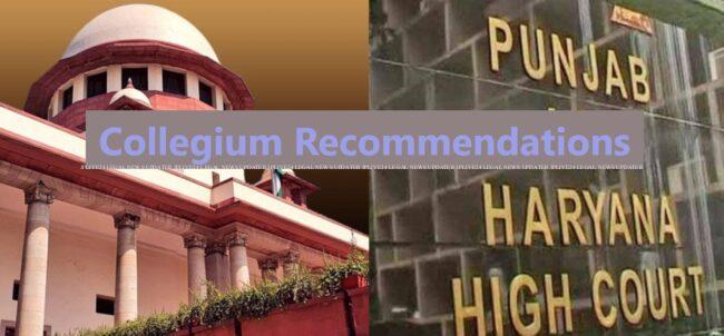 collegium recommendations