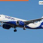 Indigo plane 150x150 1