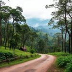 Munnar Kerala