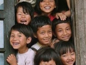 cropped image 2025 07 f313c63a95668e77d1489c79825bbcd3