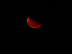 cropped image 2025 09 616d8d143cf41e814107cf3ad3e51b55 1