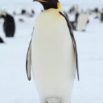 cropped image 2025 09 aae440aabbbfd334b6a8cbccbb06d603