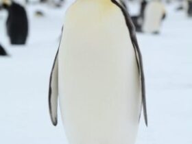 cropped image 2025 09 aae440aabbbfd334b6a8cbccbb06d603
